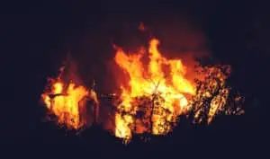A fierce blaze engulfs a structure at night, with towering flames consuming the silhouette of trees against the darkness.